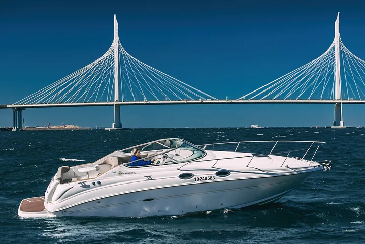 SeaRay 315